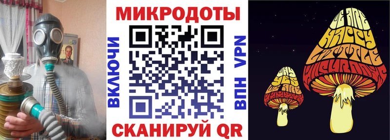где купить наркоту  Южно-Сахалинск  Псилоцибиновые грибы Psilocybe 